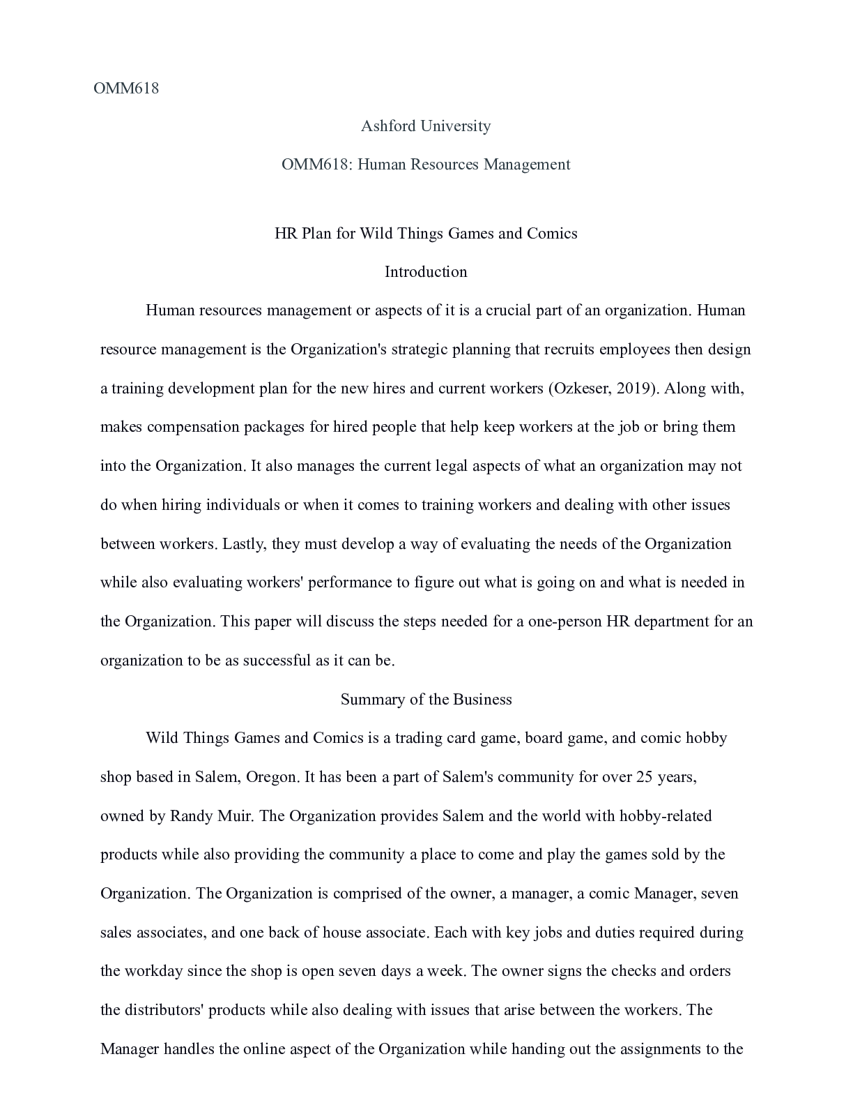 Preview image of HR plan.pdf document